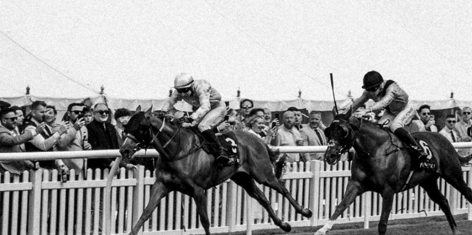 Musselburgh racecards 22 June Monday flat turf racing action at Musselburgh Racecourse