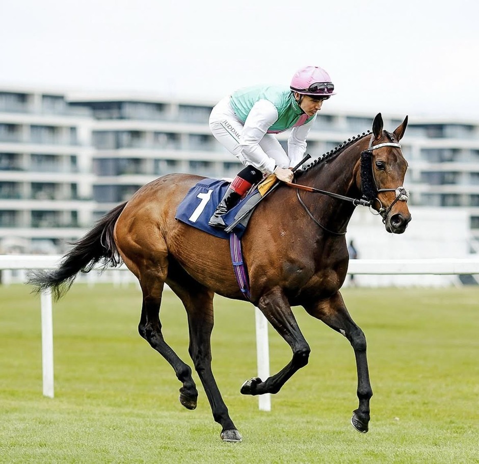 Newbury racecards 23 June Tuesday flat turf racing action at Newbury Racecourse