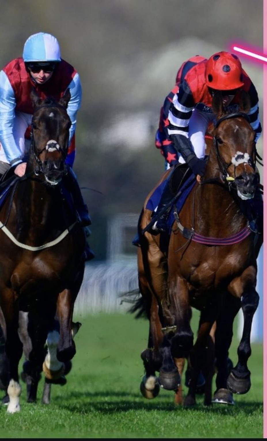 Newton Abbot race results 23 june Tuesday Highlights