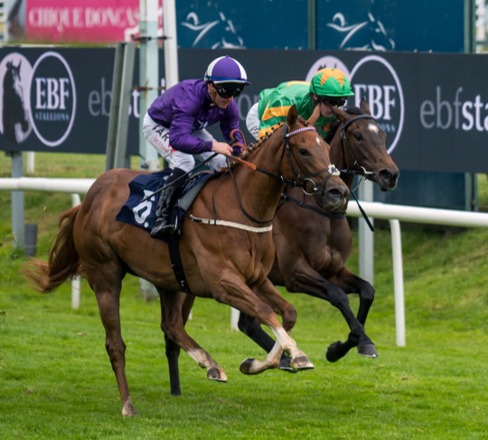 Doncaster Race Cards 26 June preview featuring the eight-race programme at Doncaster Racecourse