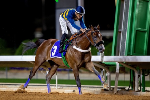 Taif Racing Season 2026 schedule featuring major cup races