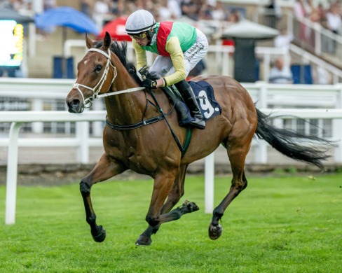 Windsor Race Cards 27 June at Windsor Racecourse