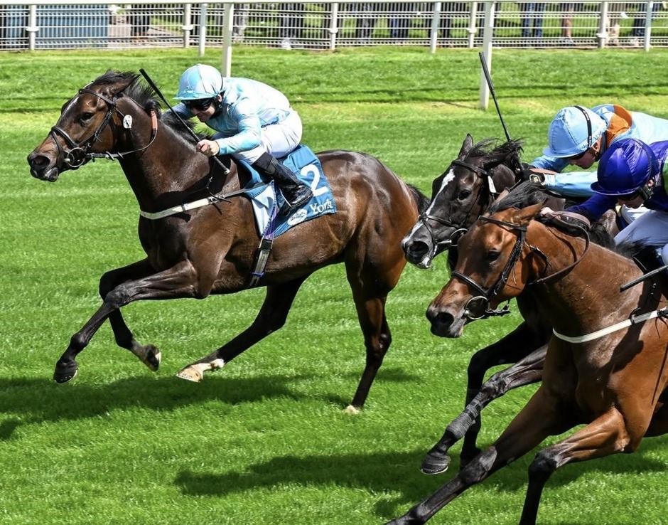 York racecards 27 june Saturday Exciting Flat Preview