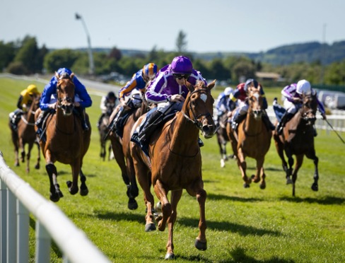 Irish Derby runners at Curragh Racecourse for Curragh Race Cards 28 June
