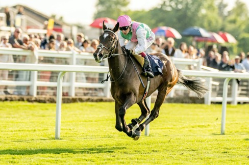 Windsor Race Cards 29 June preview featuring Monday's seven-race meeting