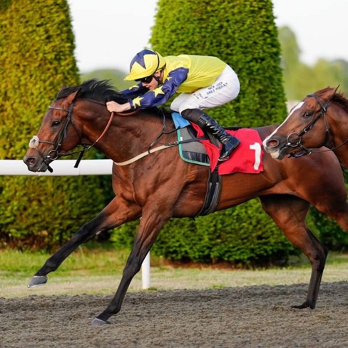 Kempton Park Race Cards 29 June during the all-weather evening meeting.
