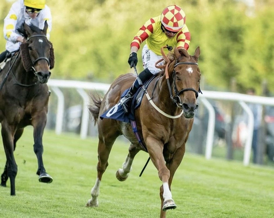 Brighton racecards 30 June Tuesday flat turf racing action at Brighton Racecourse