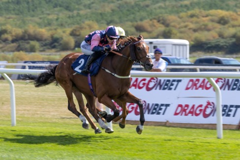 Ffos Las Race Cards 30 June preview of the six-race Flat programme