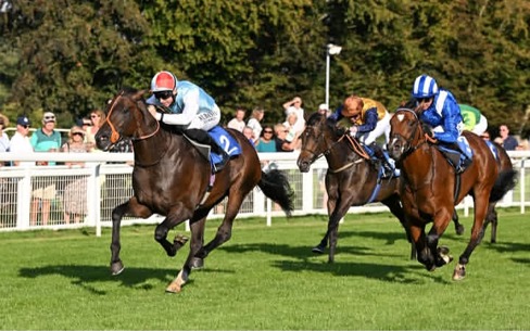 Salisbury Race Cards 30 June at Salisbury Racecourse