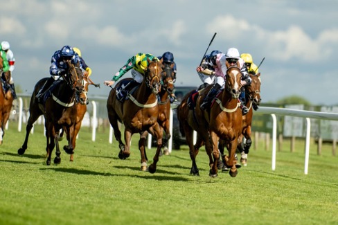 Bath Race Cards 1 July at Bath Racecourse