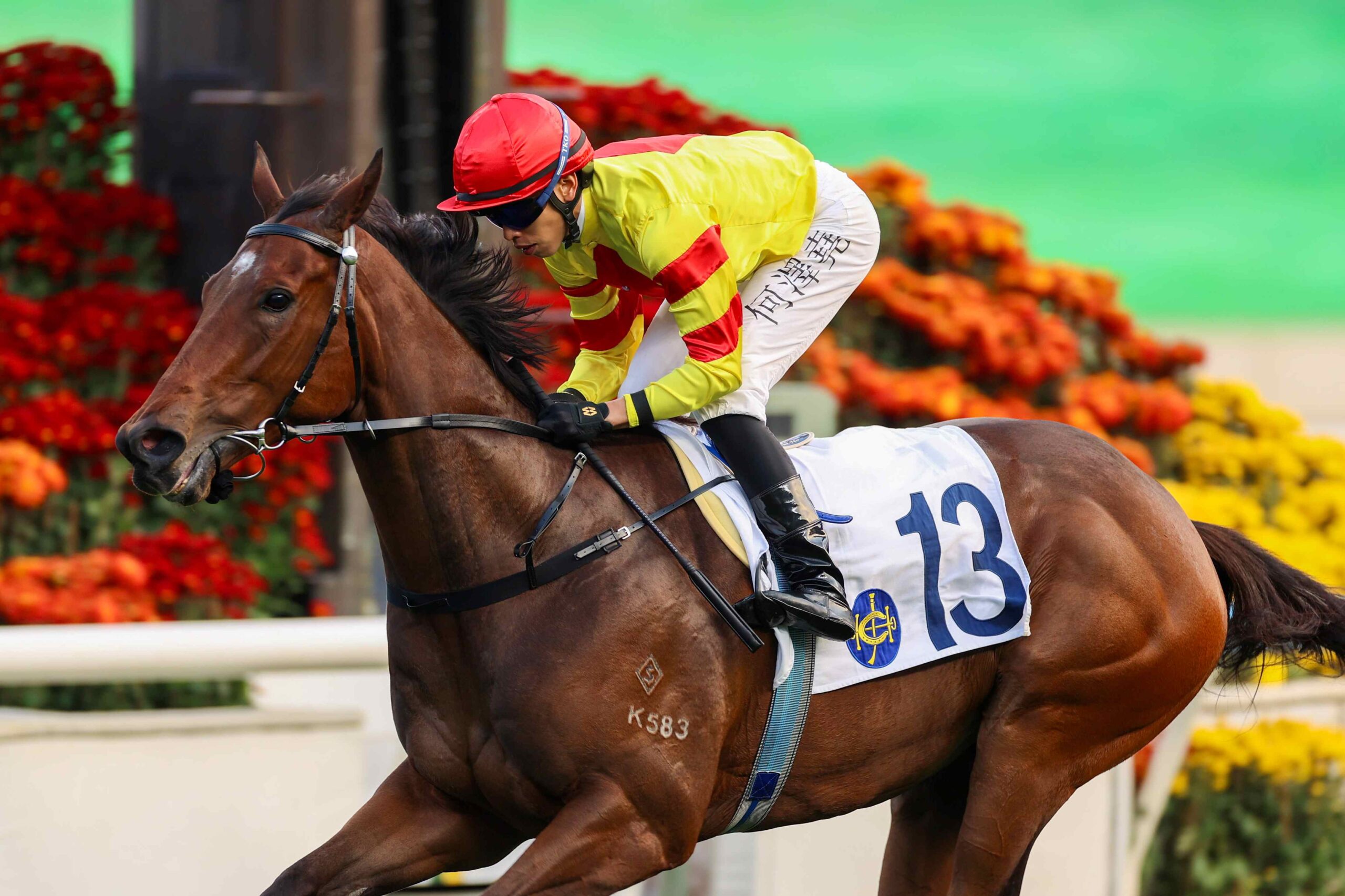 Sha Tin Sunday racing preview