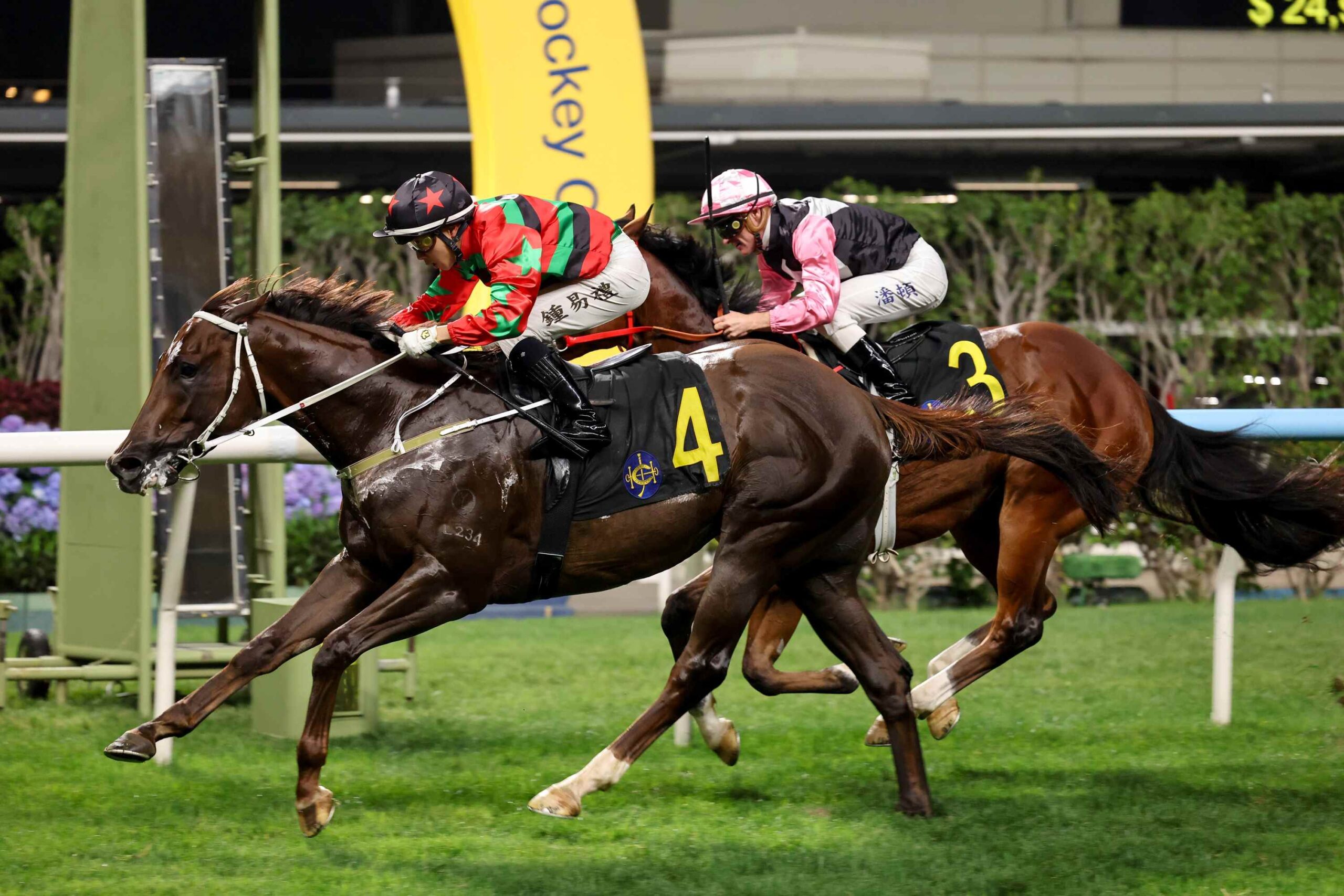 Happy Valley Race Preview