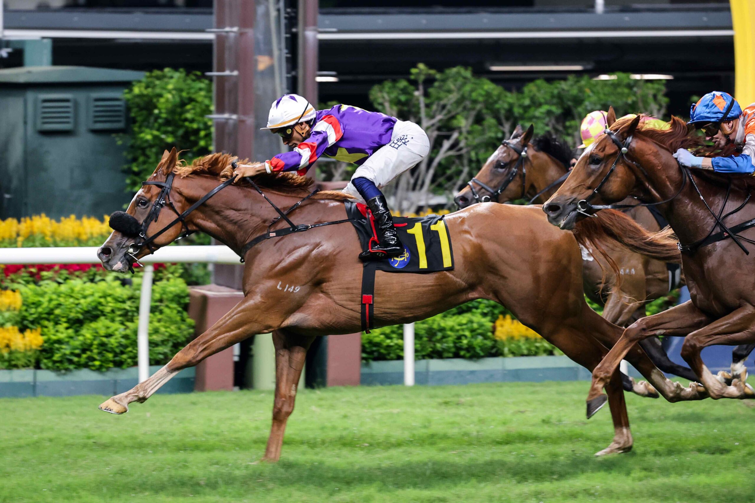 Happy Valley Race Preview: Violet Star Leads Competitive Wednesday Card