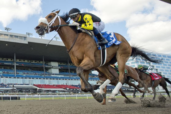 Highwaytothemoon wins the Queenston Stakes 2026 at Woodbine