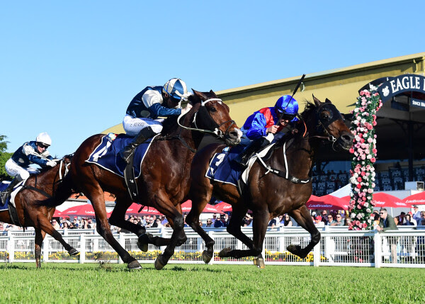 War Eternal wins the Listed Spear Chief Handicap at Eagle Farm under Rachel King