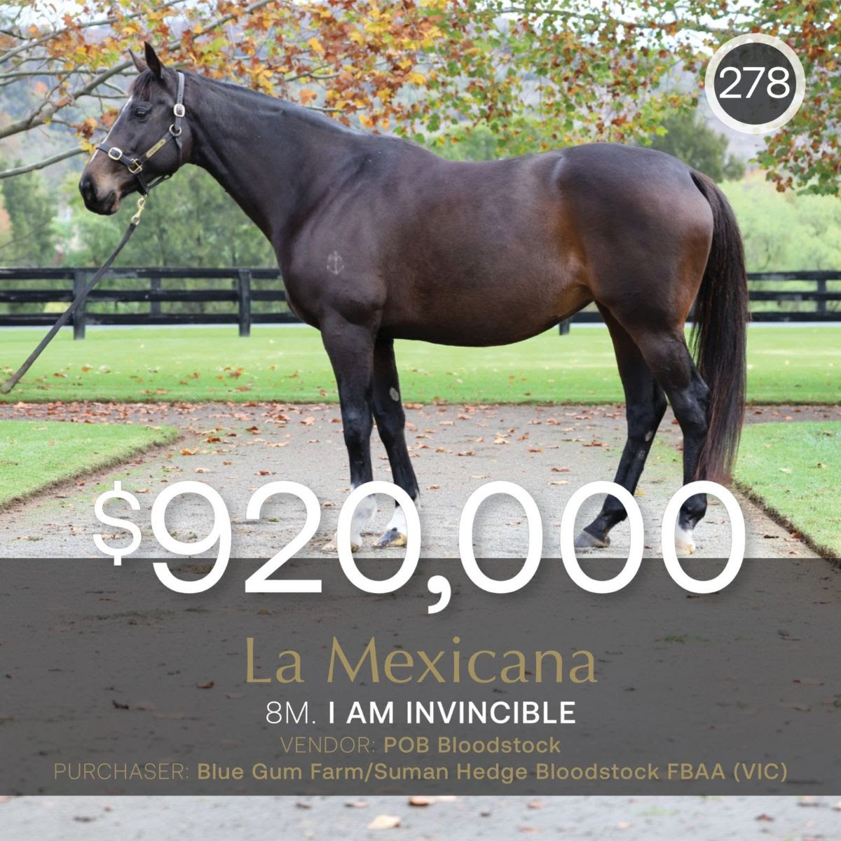 La Mexicana Inglis Digital Record Sale Reaches $920,000