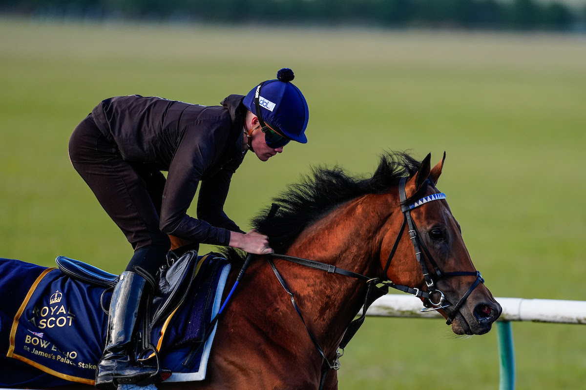 Bow Echo racing ahead of the St James’s Palace Stakes at Royal Ascot