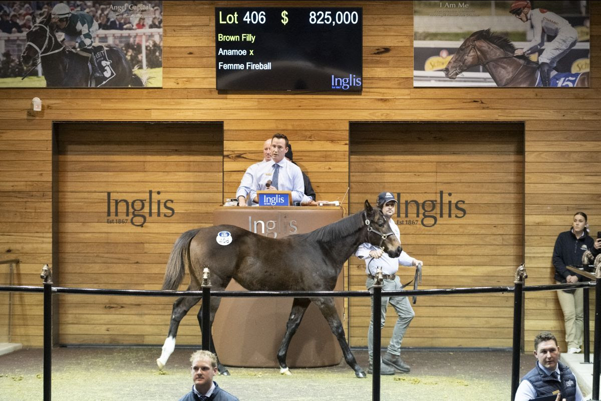 Inglis Weanling Sales Series 2026 results