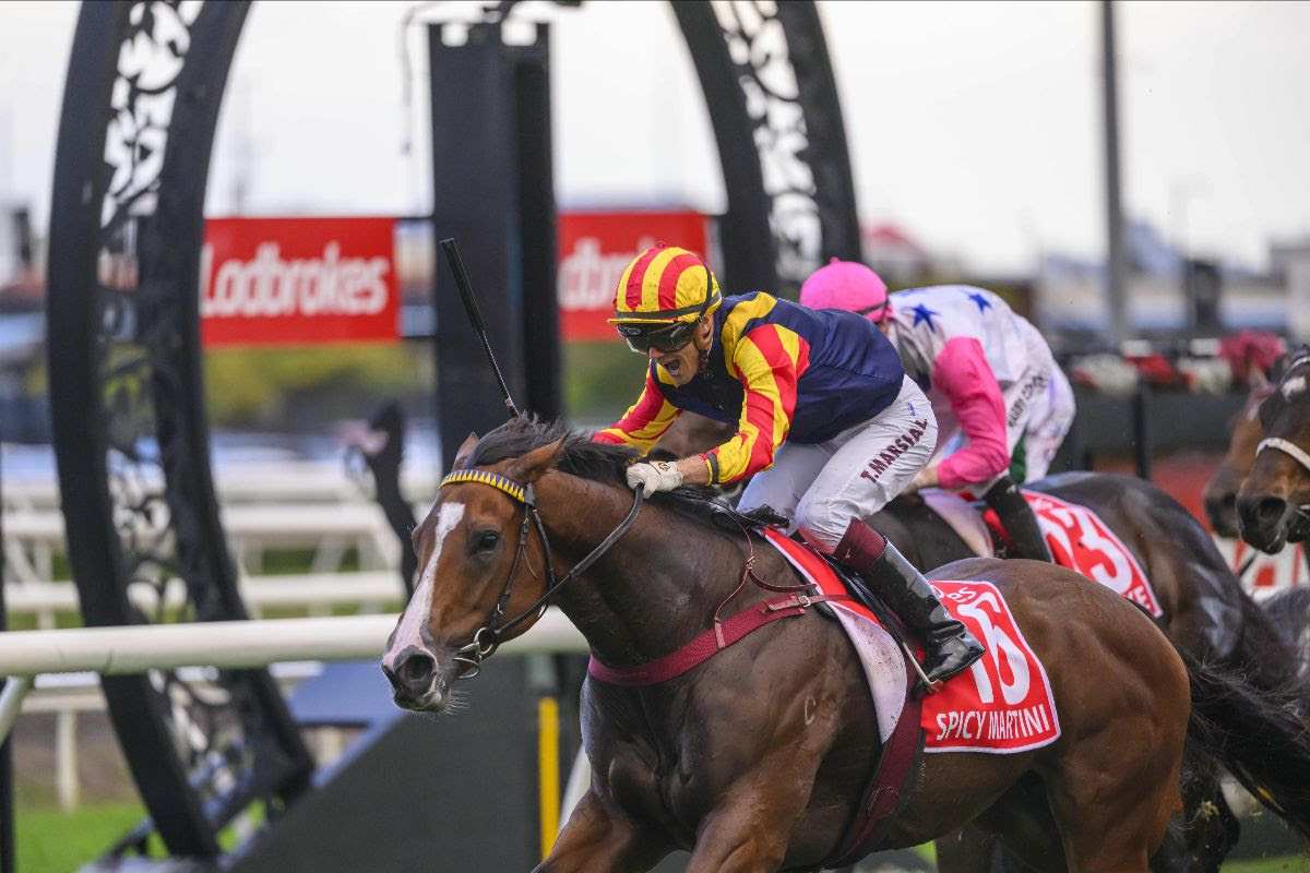 Stradbroke Handicap 2026 Result: Spicy Martini Leads Inglis Graduates Clean Sweep