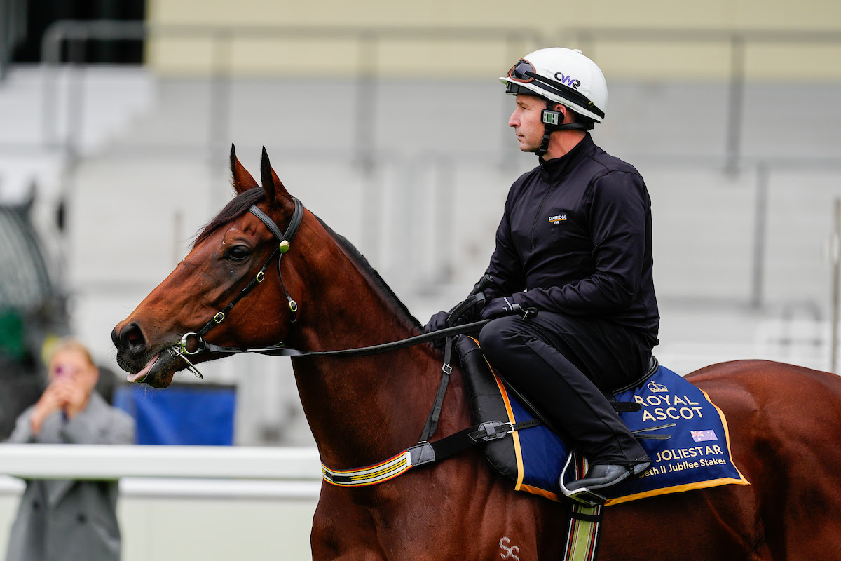 Joliestar and Overpass training at Ascot ahead of Royal Ascot sprint races