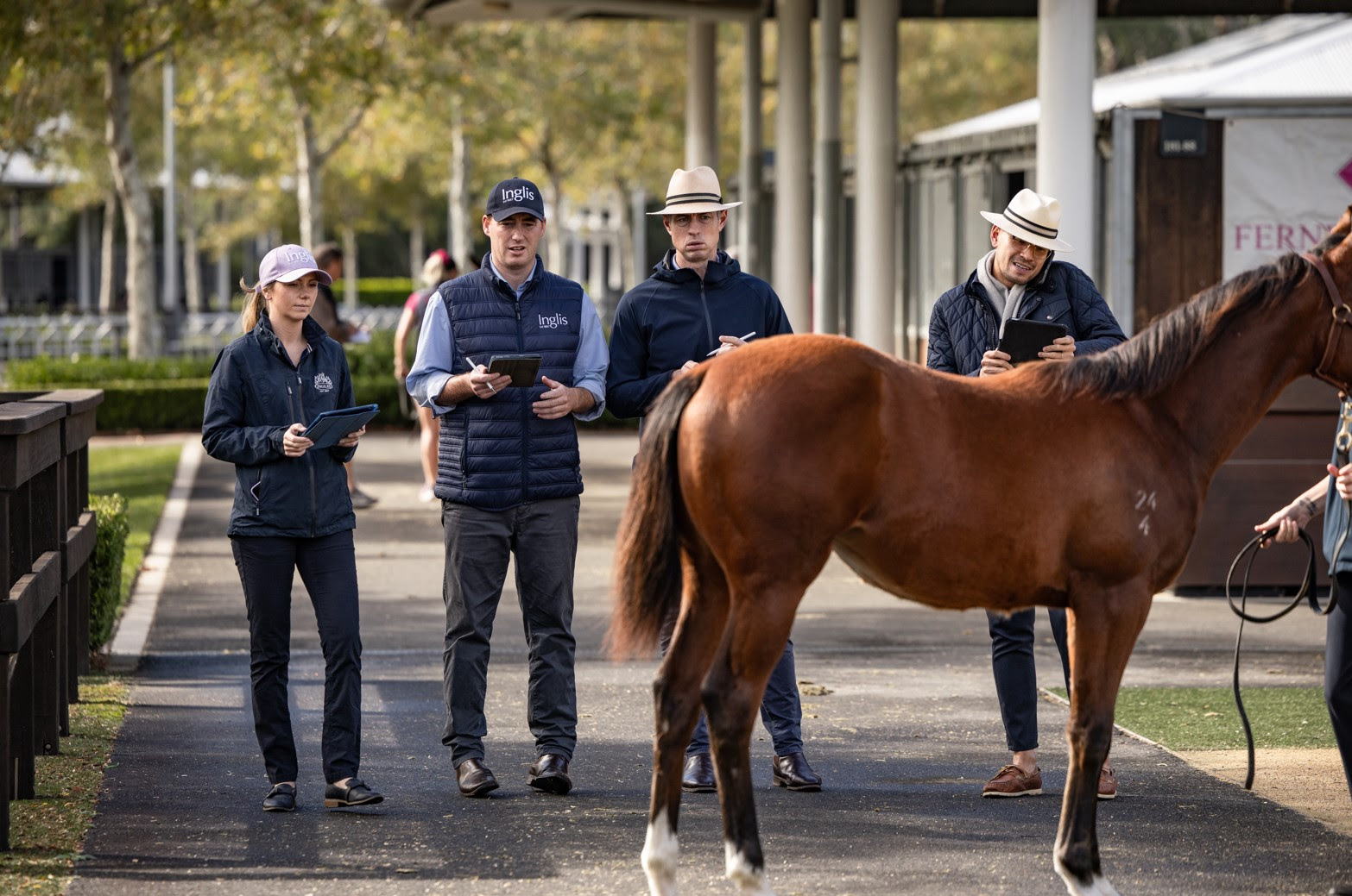 Inglis Internship Programme 2026
