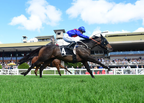 War Eternal powering through final stages at Eagle Farm in Listed Wayne Wilson Stakes