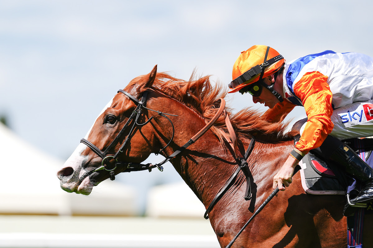 Royal Ascot 2026 Results : Ten Bob Tony Wins Queen Anne Stakes