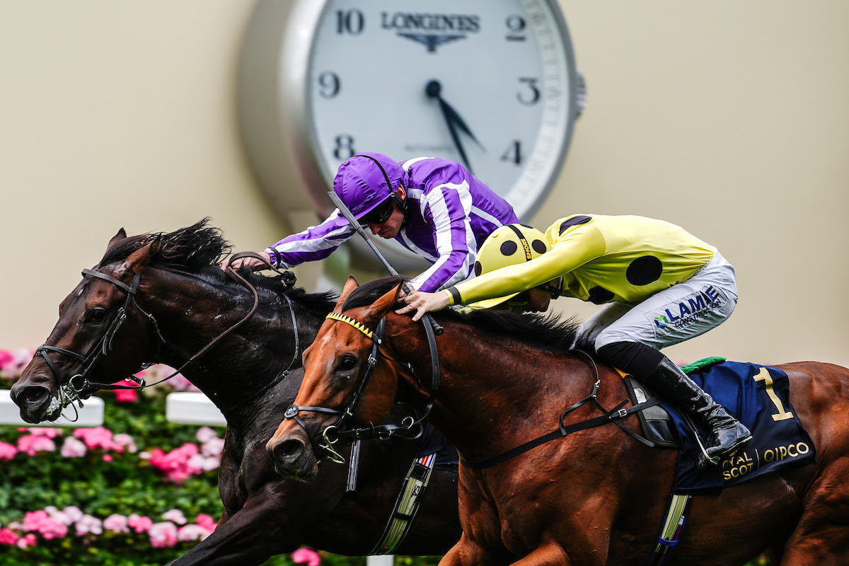 Royal Ascot results 2026: Bow Echo Wins St James's Palace Stakes