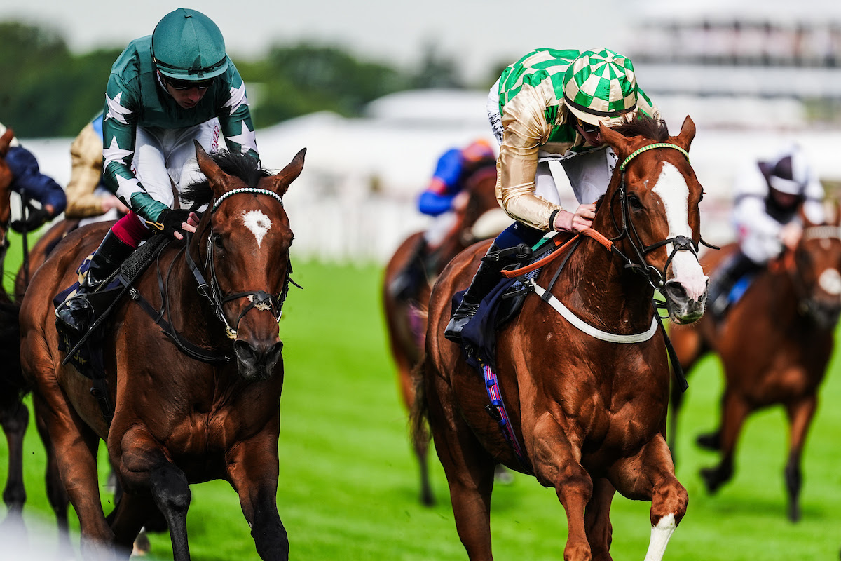 Royal Ascot Results: Daiquiri Bay Wins Copper Horse Stakes