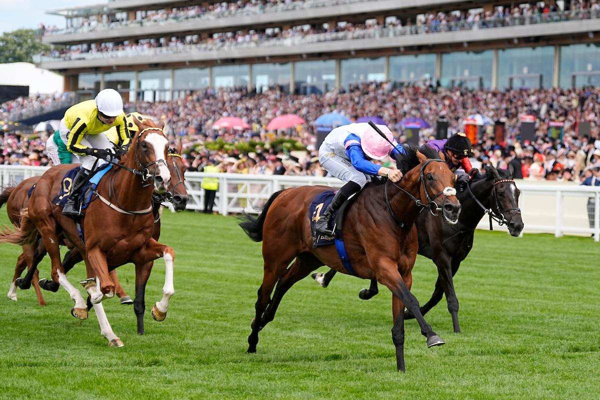 Queen’s Vase results