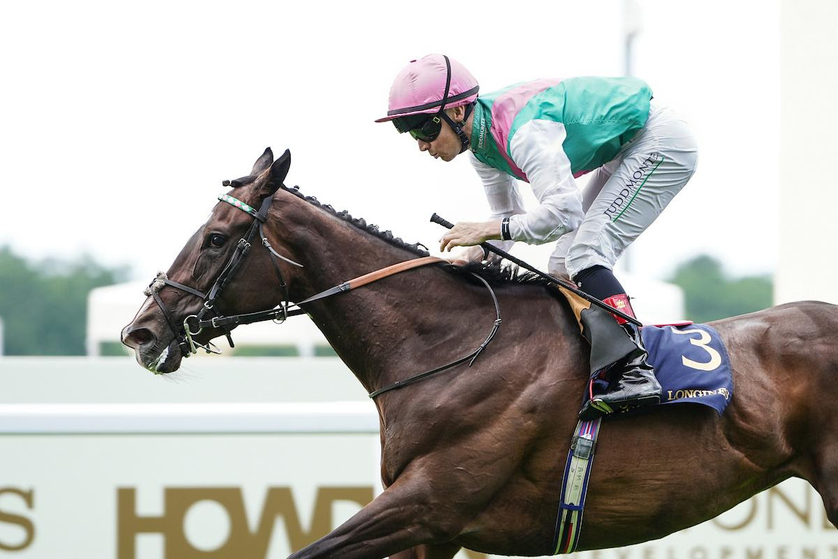 Duke Of Cambridge Stakes Result