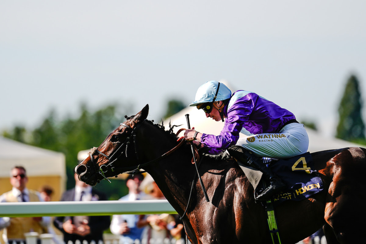 Hampton Court Stakes Result : Generic's Thrilling Win
