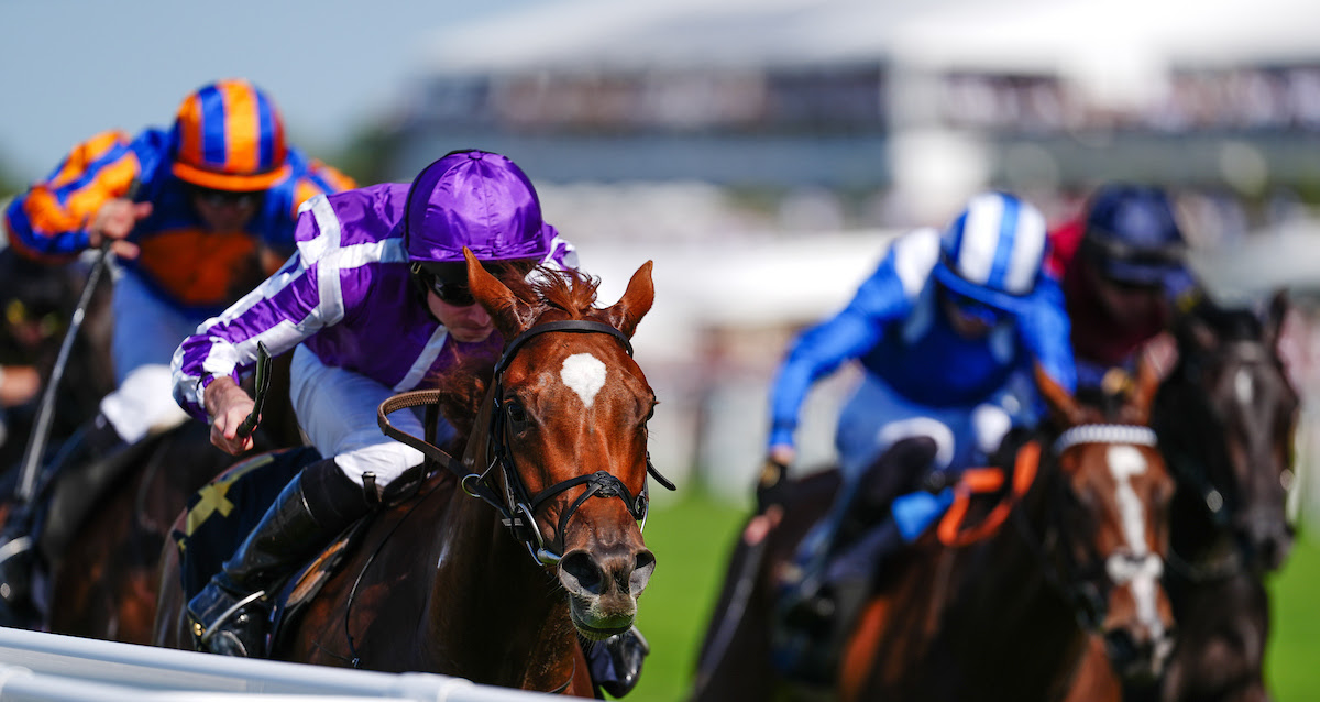 Coronation Stakes result: 7 Highlights of the Victory