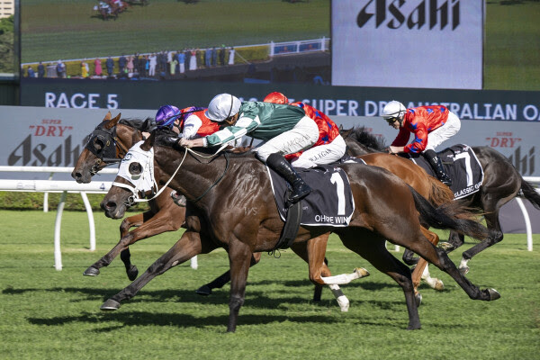 NZB Filly of the Year champion Ohope Wins after her Australian Oaks victory