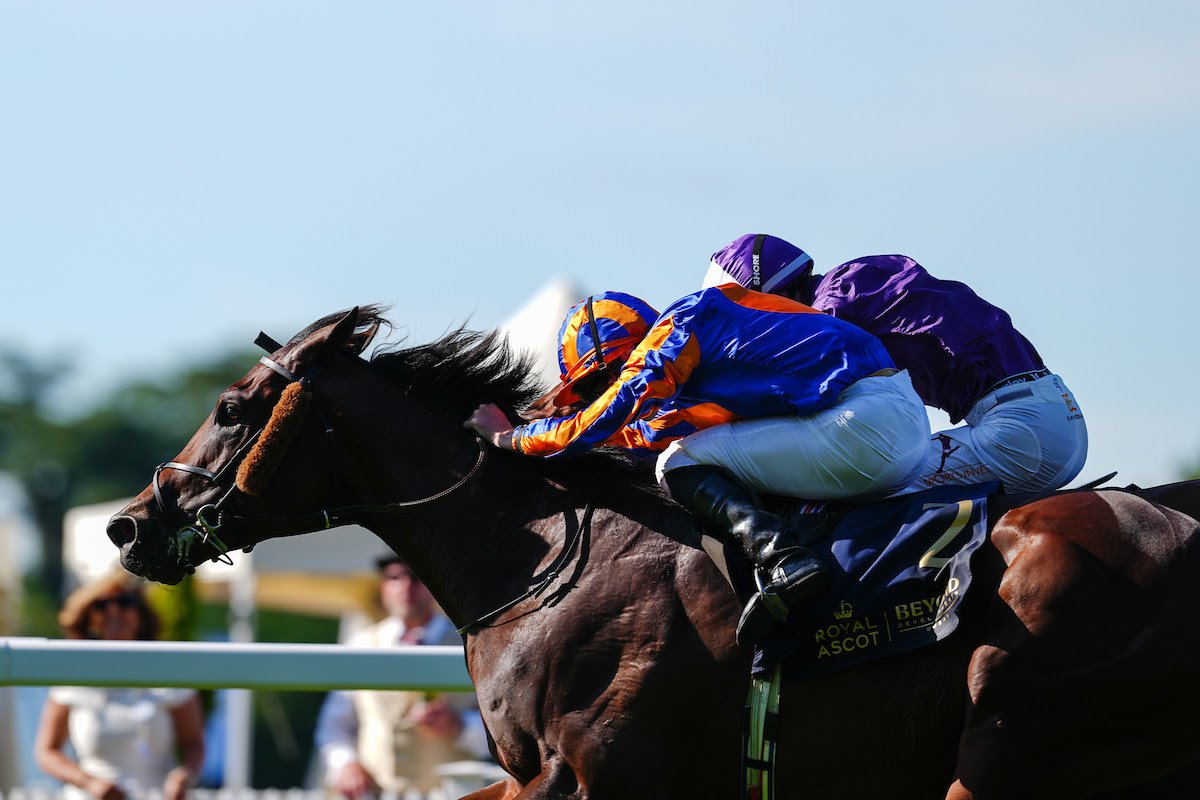 Causeway Wins King Edward VII Stakes Result at Royal Ascot