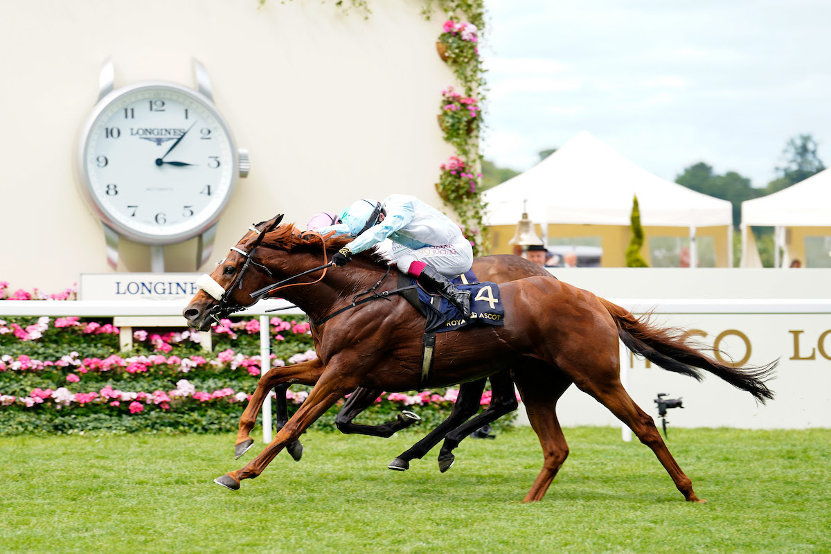 Giavellotto and Oisin Murphy winning the Hardwicke Stakes at Royal Ascot 2026