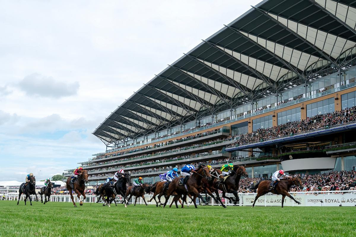 Almeraq winning the Queen Elizabeth II Jubilee Stakes 2026 at Royal Ascot