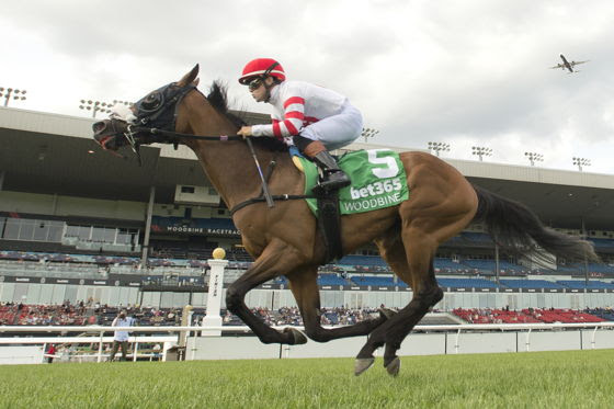 Souper Sporty surges clear under Fraser Aebly to win the Georgian Bay Stakes at Woodbine