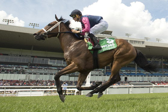 Lake Huron Stakes Result : Duckduckduck Wins at Woodbine