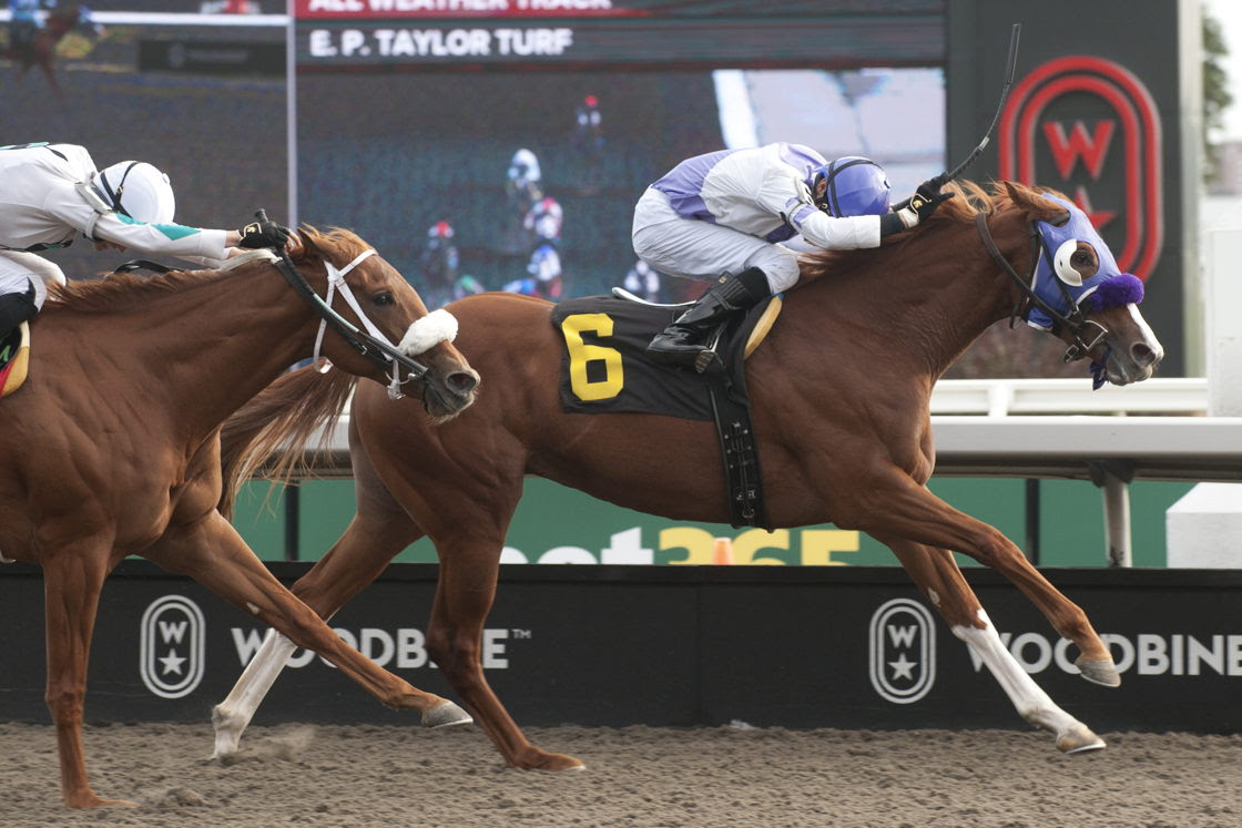 Stroke of Genius competing in the Alywow Stakes 2026 at Woodbine