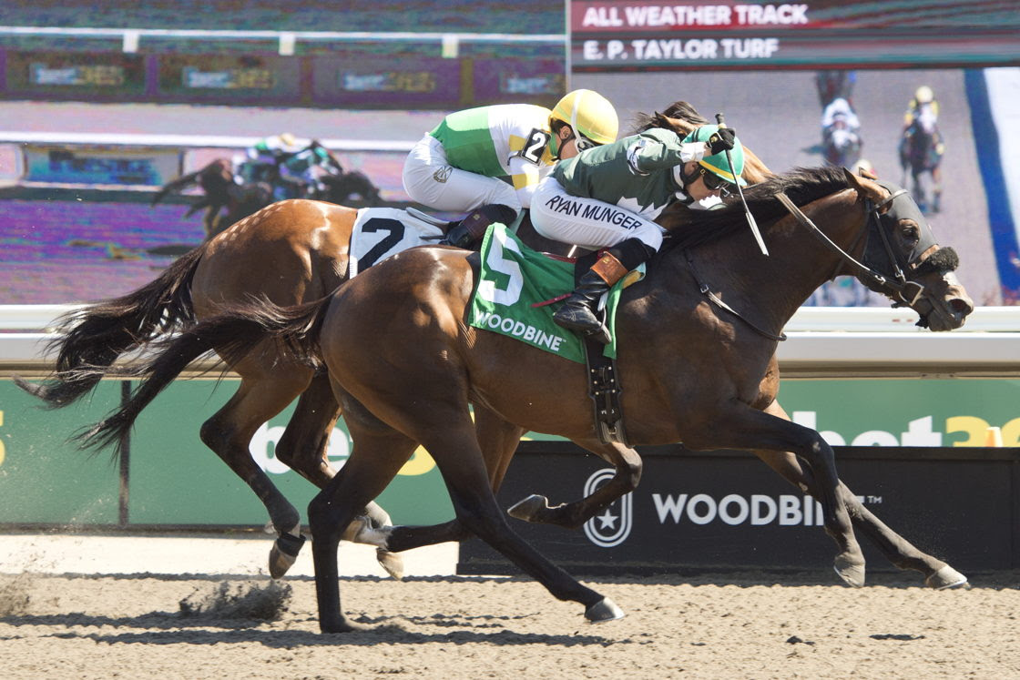 Brachetto winning the Marine Stakes at Woodbine with jockey Ryan Munger