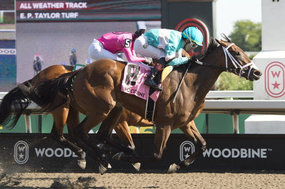 Alywow Stakes results : Meilani Wins with Late Surge