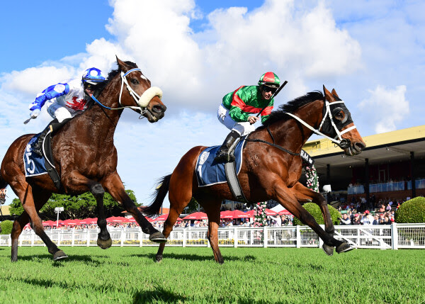 Tattersall’s Cup Results : Asterix Wins at Eagle Farm