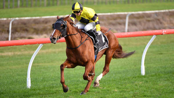 Churchillian winning the Listed Tauranga Classic at Tauranga Racecourse.