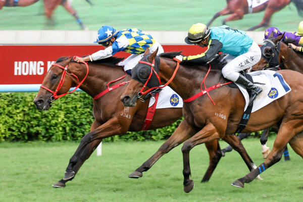 Patch Of Stars winning the Group Three Sha Tin Vase at Sha Tin Racecourse