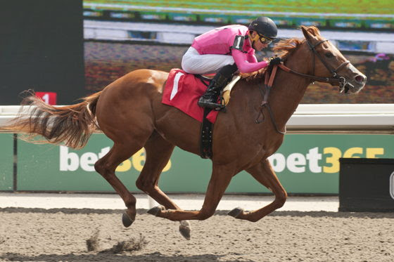 Military Time powering clear in a Woodbine race over seven furlongs