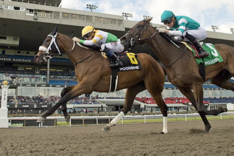 Piper’s Gift finishing strongly to win Fury Stakes at Woodbine 2026