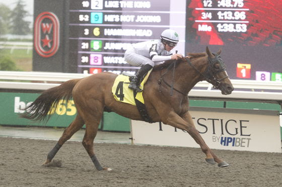 Dominion Day Stakes preview : Wyoming Bill Leads Competitive
