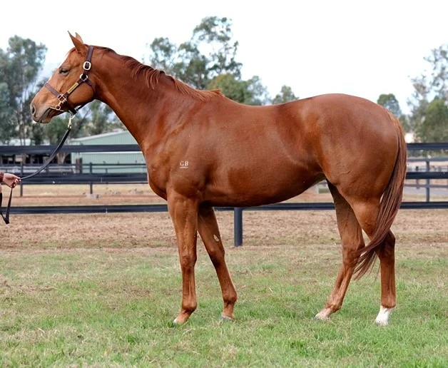Inglis Digital June Online Sale: Takemine Leads Top Entries