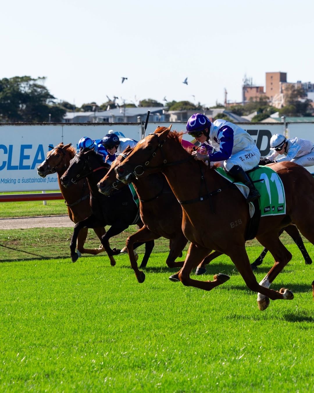 Newcastle racecards 25 June 2026 race day preview